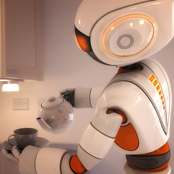 Robot